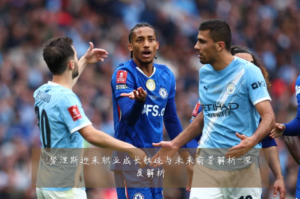 努涅斯迎来职业成长轨迹与未来前景解析-深度解析